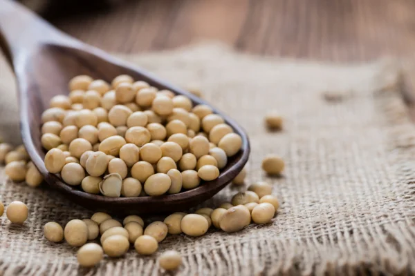 alimentos-ricos-em-proteina-soja-dr-daniel-benitti-cirurgiao-vascular-sao-paulo-campinas alimentos-ricos-em-proteina-soja-dr-daniel-benitti-cirurgiao-vascular-sao-paulo-campinas