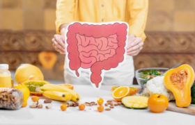 Revestimento intestinal e a intolerancia alimentar