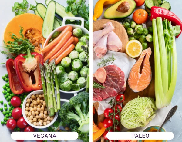 Dieta vegana e dieta paleo.