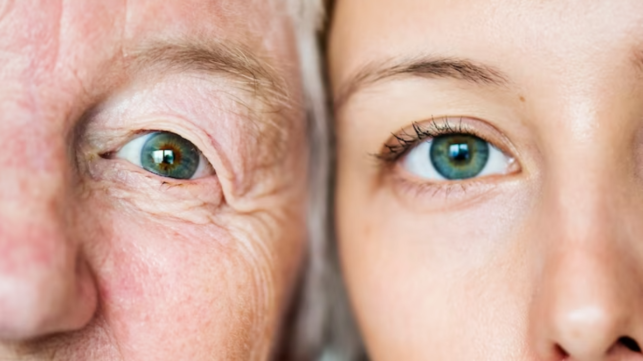 family-generation-green-eyes-genetics-concept_53876-30587-jpg-740×535-