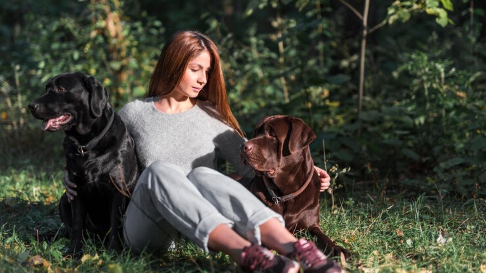 young-woman-sitting-park-with-her-two-labradors_23-2148045805